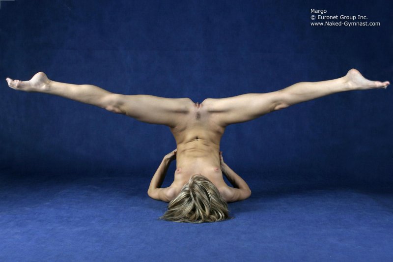 Gymnastic movements