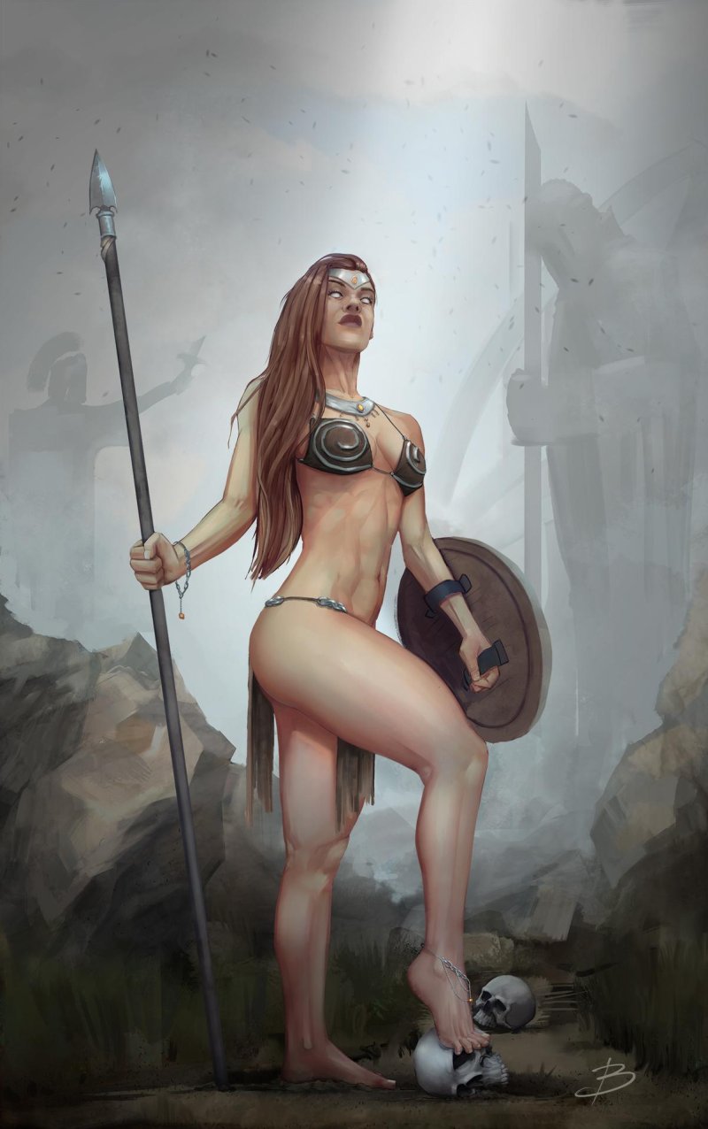 Viking armor