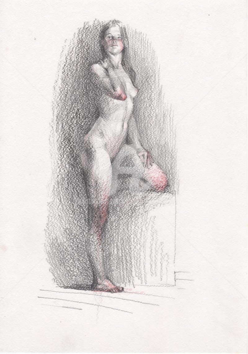 Drawings from nature