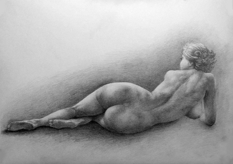 Drawings of the female body with a pencil