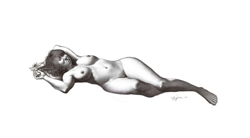 Drawings nude