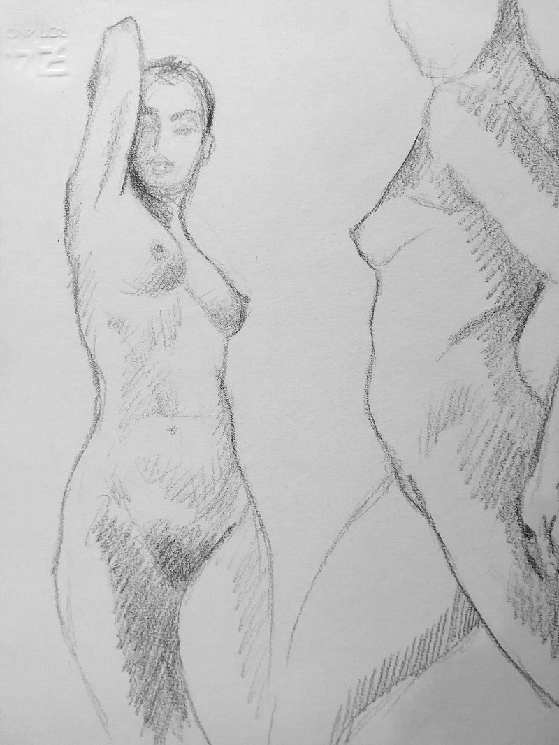 Sketch of the picture