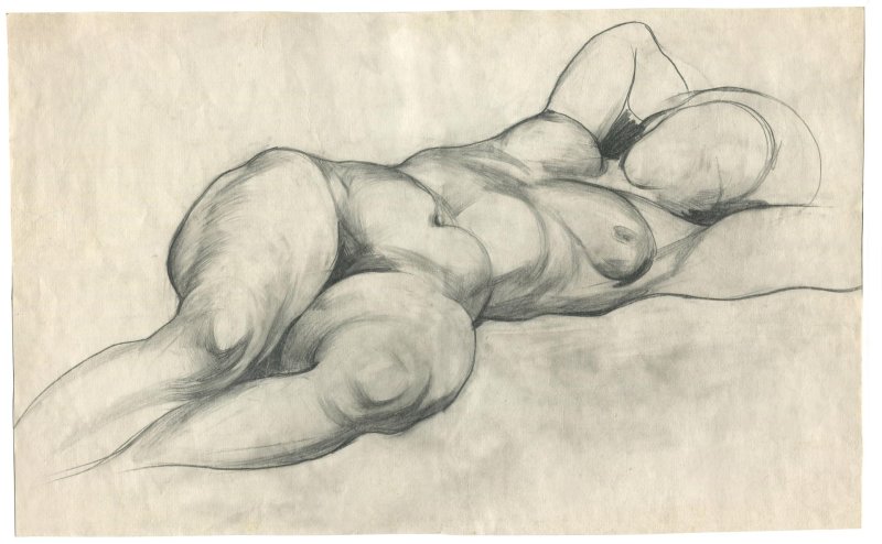 Academic drawing of a person