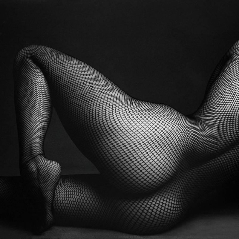 Erotic girls in a grid