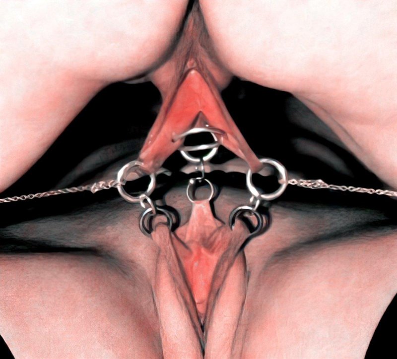 Clips for stretching the labia