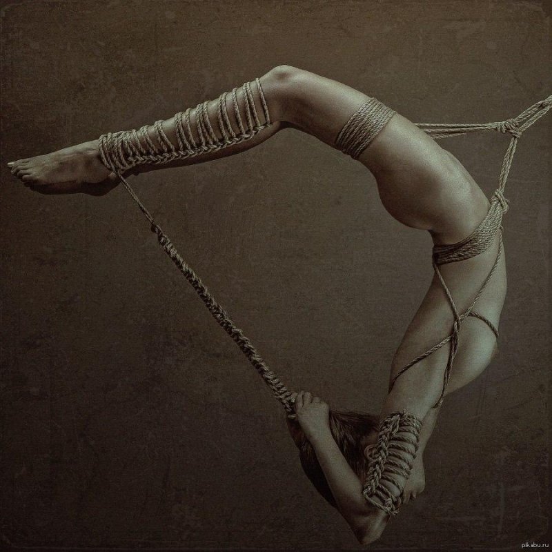 Air gymnasts