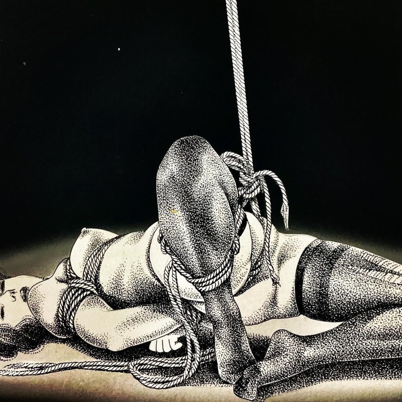 Erotic bondage drawings