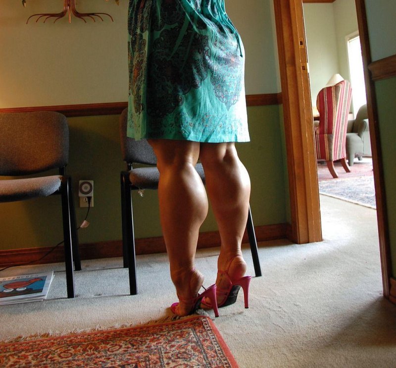 Paula Lane Calves