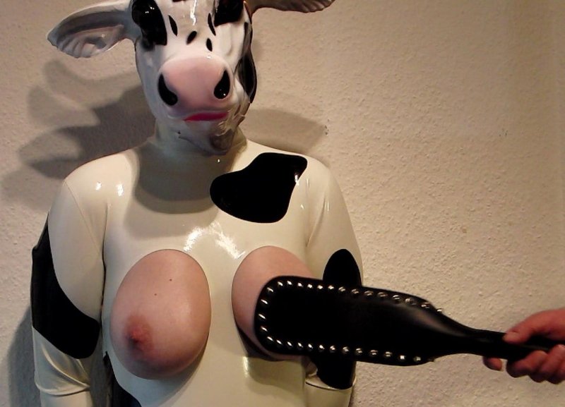 Cow porn