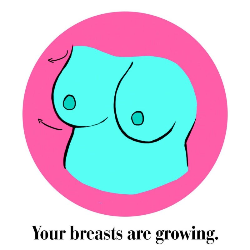 Forms of the nipples