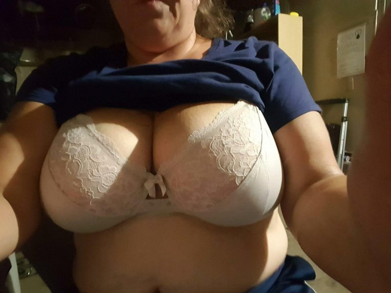 Tits in a bra porn