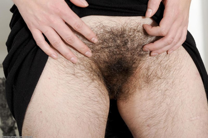 Very hairy female pubis