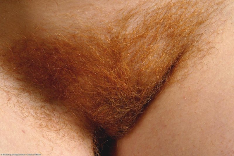 Ginger pubes