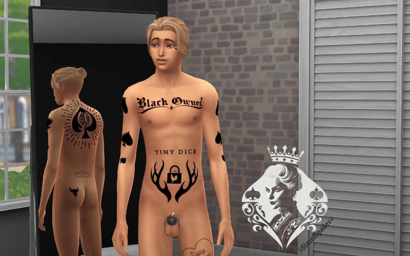 Mod Sims