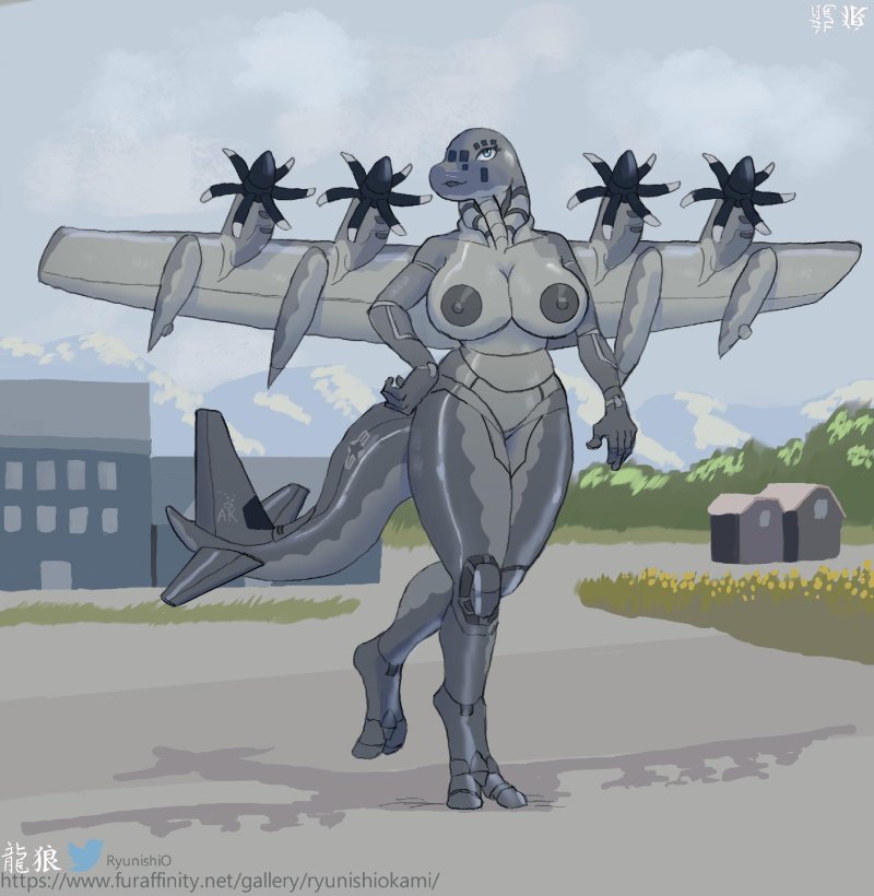 Aeromorph f