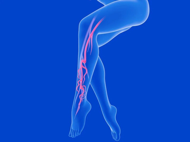 Feet blood vessels